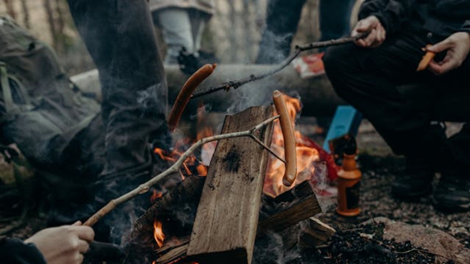 So you want to be a Professional Maine Outdoor Guide……Here’s what you need to know. (Education & Training)